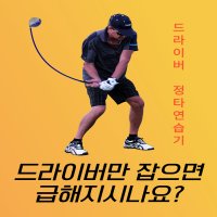 골프자세교정기 골프스윙교정기 드라이버 정타 연습도구