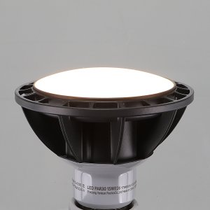 LED PAR 30 램프 15W 파삼공 파30