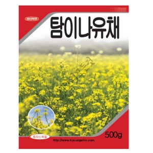 유채씨앗 유채꽃씨앗 종자 500g