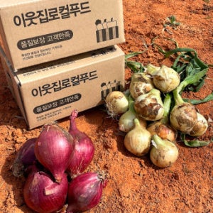 양파 햇양파 자색양파 적양파 무안 3kg 5kg
