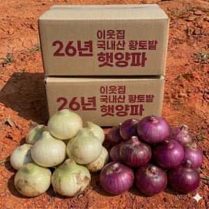 양파 햇양파 자색양파 적양파 무안 3kg 5kg