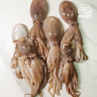 국내산 통주꾸미 1kg / 쭈꾸미,쭈꾸미볶음,불쭈꾸미,낙지,오징어,절단,냉동,생물