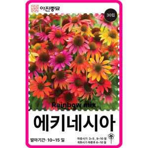 에키네시아 씨앗 100립 / 왜성 에키네시아 레인보우 혼합 꽃씨 몰 종자 다년생 야생화