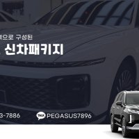 스마트패키지 부산 신차패키지 시공 (썬팅 PPF 블랙박스 용품) 쏘렌토 스포티지