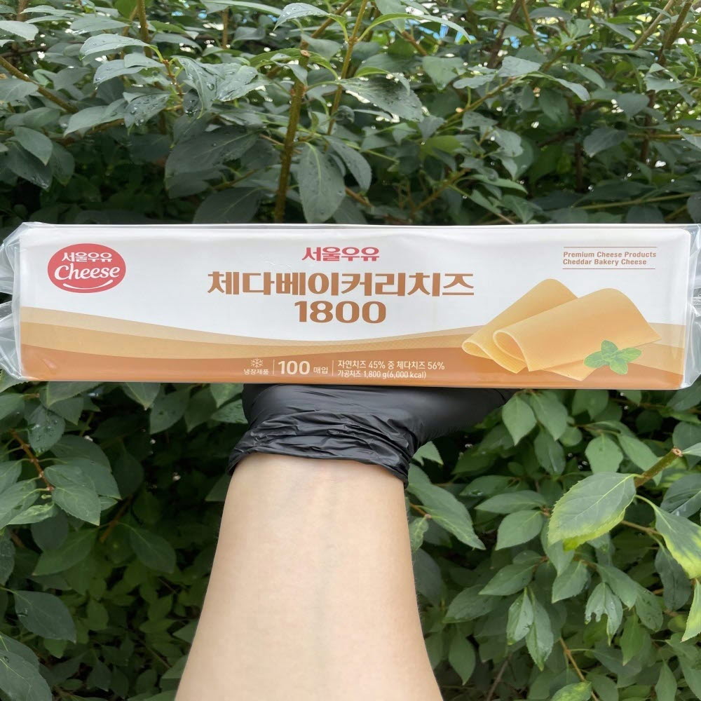 체다 베이커리 치즈