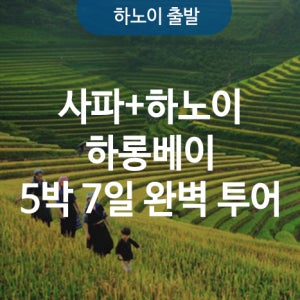 사파 하노이 하롱베이 5박 7일 완벽 투어