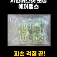 (샤인머스켓 2kg) 에어랩스 에어패킹 에어완충재 에어캡포장 100장 뽁뽁이 대용 택배