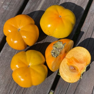 차량단감 2.5kg 5kg 10kg 태추 감 태주 대추 배 단감 차량 배감 대추감 구례