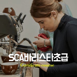 SCA 바리스타 스킬스 초급(Foundation)