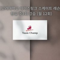 [고려대학교 아이스링크 스케이트 레슨] 평일 주3회 강습 (월 12회)