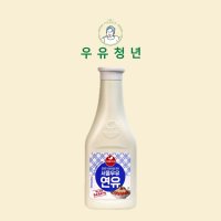 서울우유 연유튜브 500g 20개세트 종이박스포장 빙수 시럽