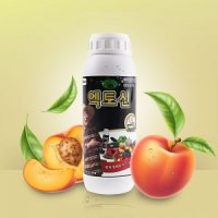 엑토신 500ml 자가수분증진제