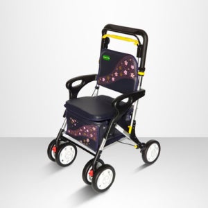 케어맥스 실버플라이 보행보조차 CW-SP300 NEW GOLD 꽃무늬