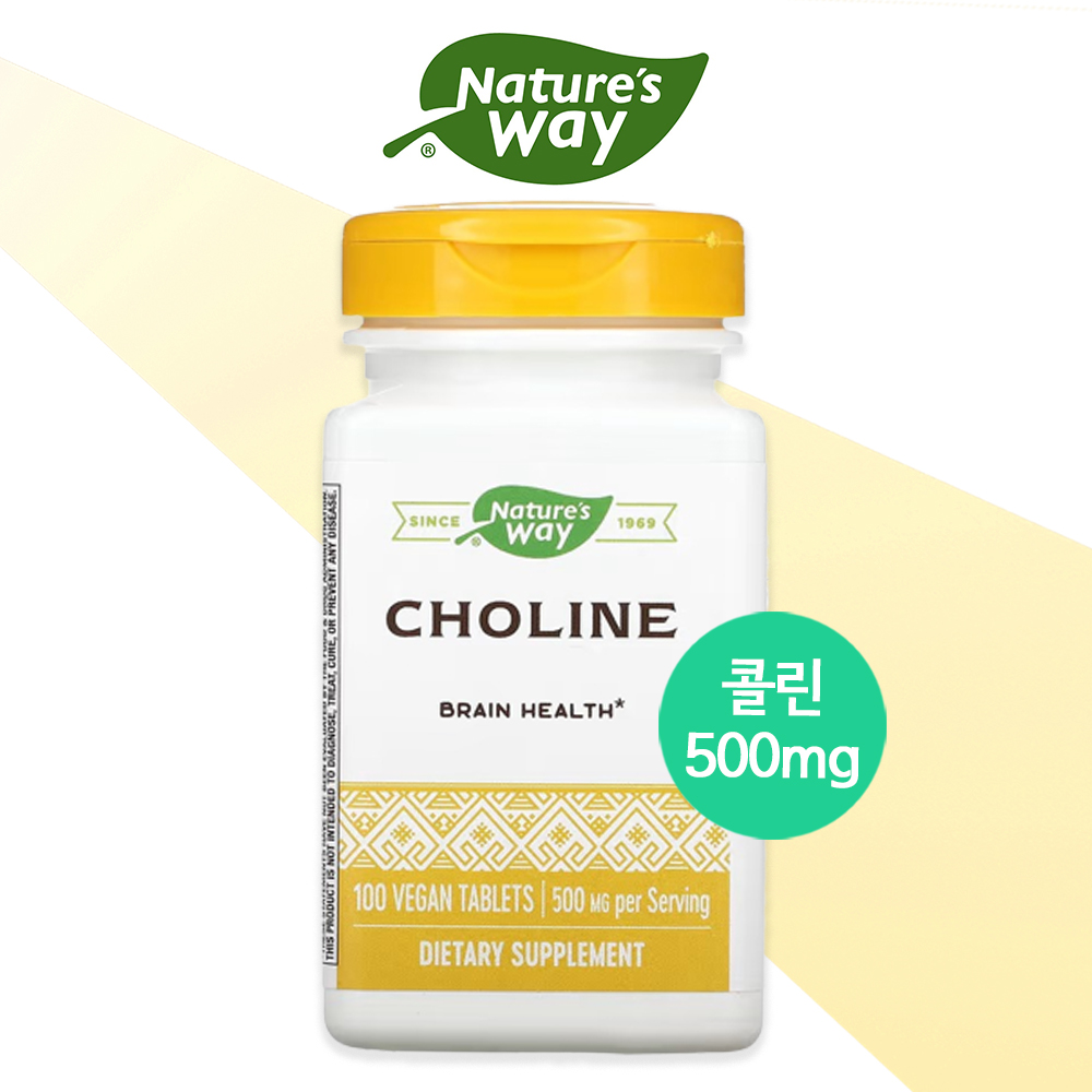 <b>네이처스웨이</b> 콜린 500mg 100정 비타민B복합체 포스파티딜콜린 <b>레시틴</b> 아세틸콜린