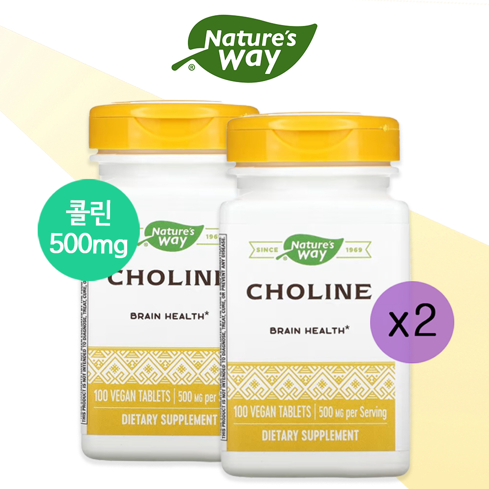 [1+1] <b>네이처스웨이</b> 콜린 500mg 100정 비타민B복합체 포스파티딜콜린 <b>레시틴</b> 아세틸콜린