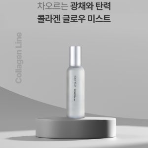 SKIN52 스킨52 기초화장품 미스트 단독상품