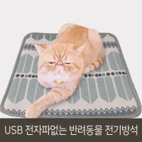 고양이전기방석 강아지전기장판 길냥이온열방석 usb