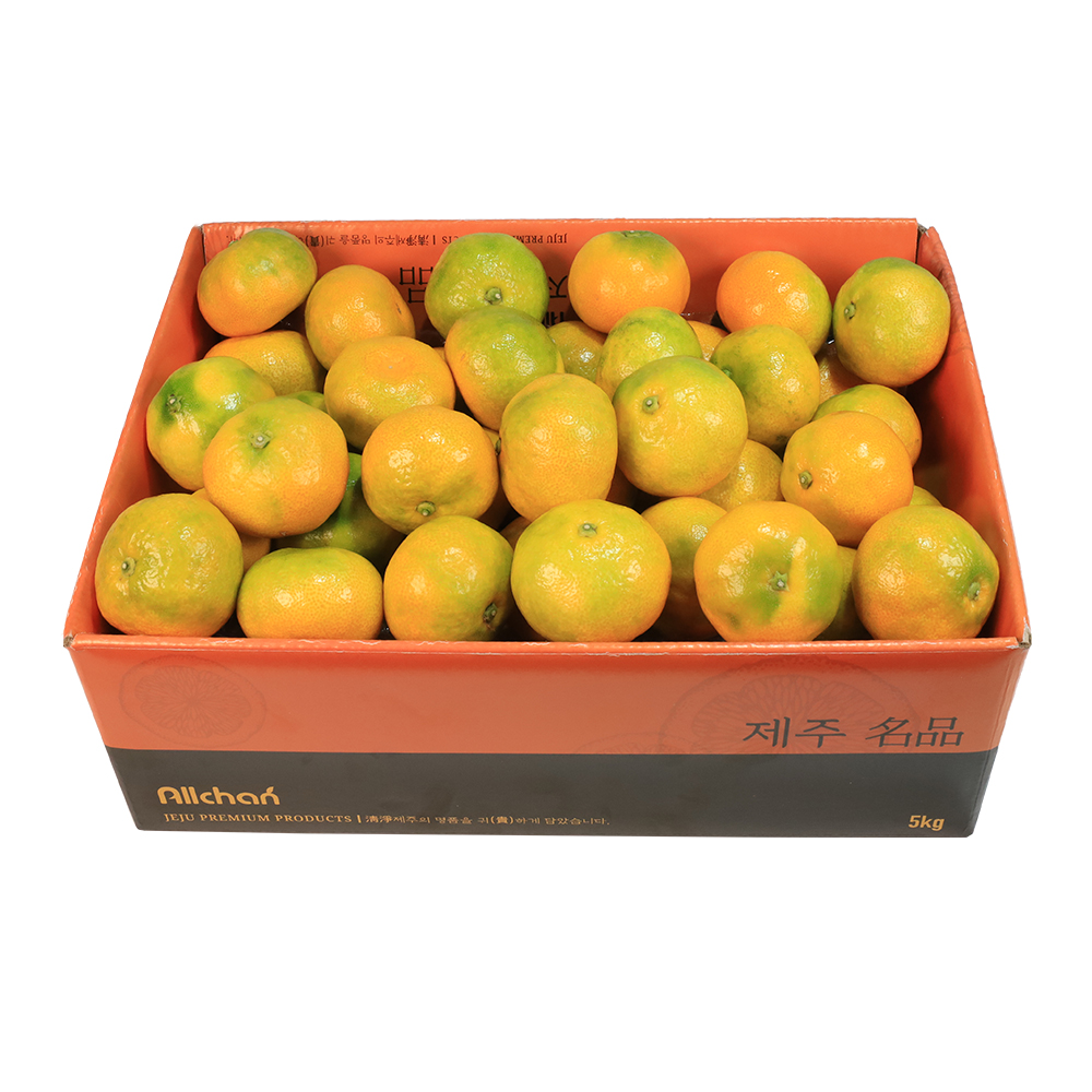 제주도 노지 감귤 <b>선물</b>세트 5kg 10kg