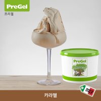 [프리젤 PreGel] 카라멜 페이스트 젤라토원료 (6Kg/통)