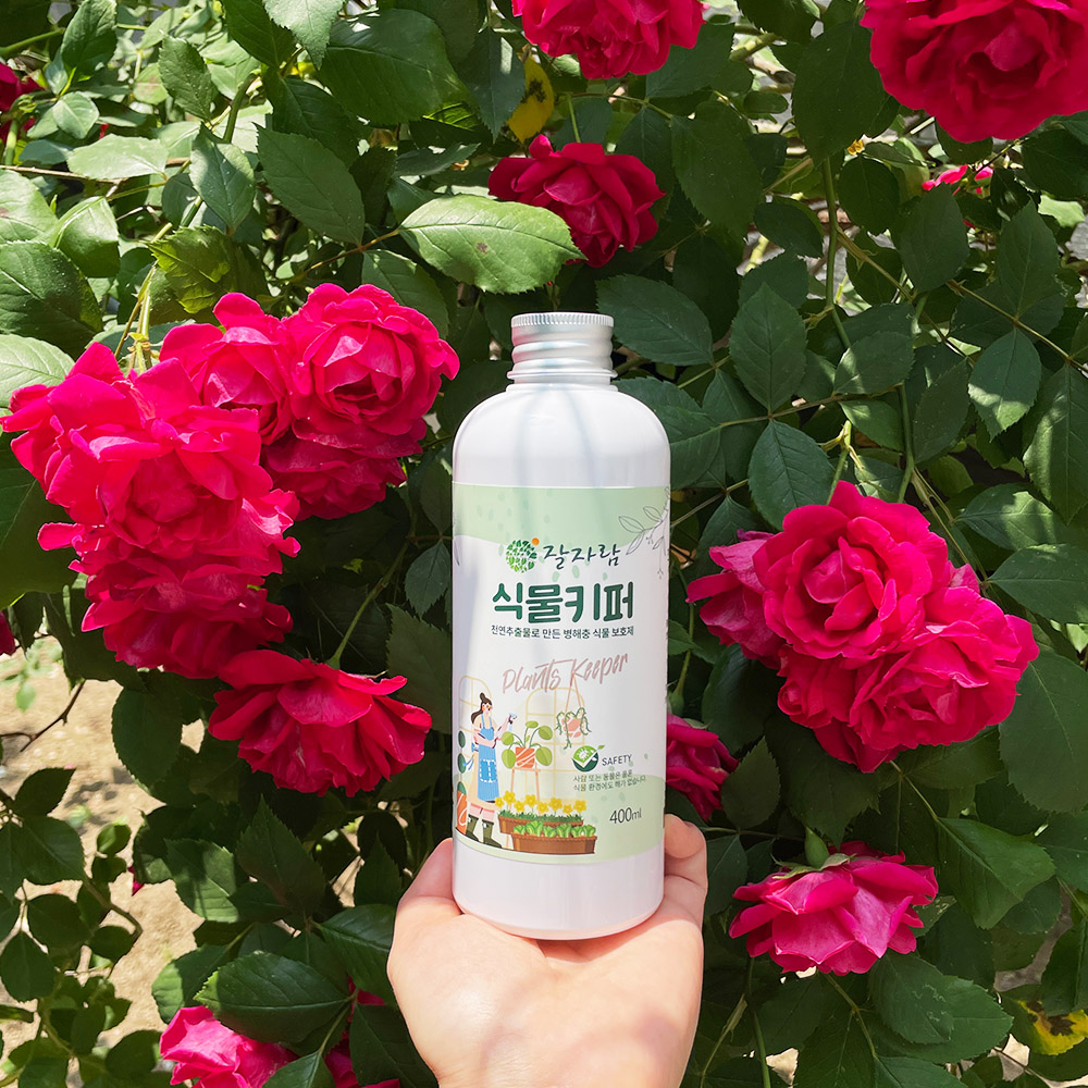 잘자람 <b>식물</b>키퍼 천연<b>추출물</b> 응애 총채벌레 뿌리파리 진딧물 <b>식물</b>보호제 200ml