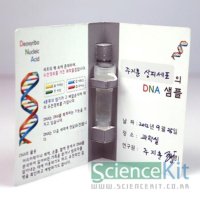 DNA 추출 샘플 만들기 동물세포 과학 실험 (4인용)