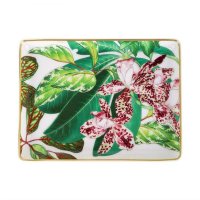 에르메스 찻잔 Passifolia Small Tray no 1 / Sushi Plate New w/Box