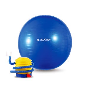 스타 짐볼 PVC GYM BALL 발펌프 포함 /65cm 파랑DP