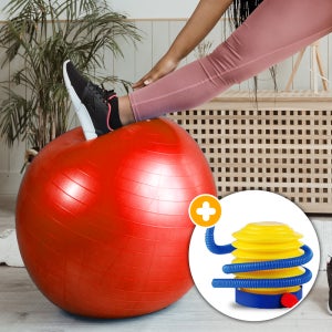 스타 짐볼 PVC GYM BALL 발펌프 포함 /65cm 빨강DP - 요가 필라테스 홈트 홈트레이닝 스트레칭 임산부