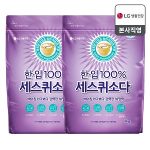 한입 100% 세스퀴 다목적세정제 1KG 2개