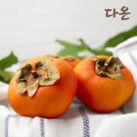 감 태추단감 청도반시 햇 홍시 가을 제철 대봉감 선물세트