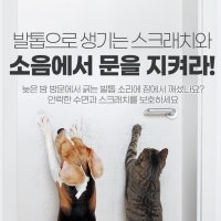 고양이벽지보호 고양이 쇼파 스크래치 강아지마킹 방지 패드 가구보호필름