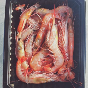 여수 거문도수산 명품 생물 달마새우 1kg