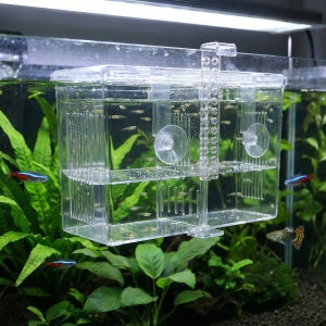 켈란 구피 치어통 걸이식 부화통 물고기 열대어 산란 격리 구피 산란통