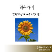 해바라기 100g 해바라기씨 해바라기종자 해바라기씨앗