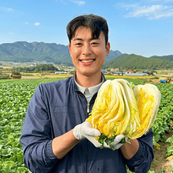 해남 절임배추 20kg 전라도 해풍 김장 절인배추 예약배송