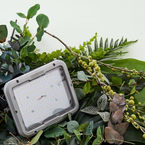 히포 팜텍 DVY100A 100W 식물생장등 LED전구 방수IP65 3500K