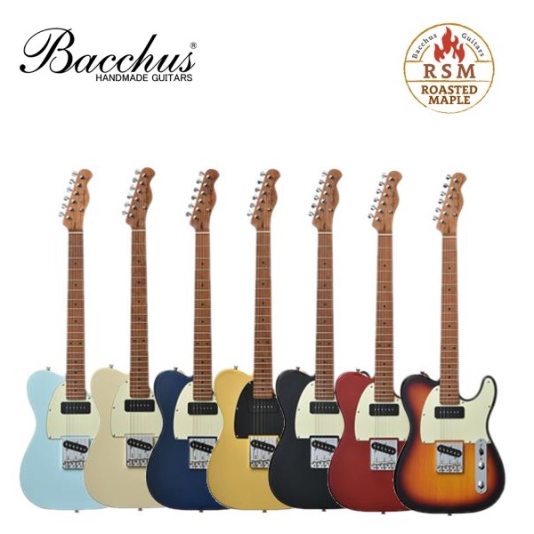 Bacchus 바커스 BTE-2-RSM 텔레캐스터 정식수입 풀패키지 Bacchus 일렉기타