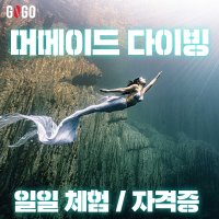 머메이드 다이빙 일일체험 강습 자격증 서울 잠실 수원 PADI 프리다이빙