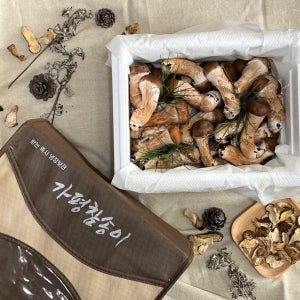 참송이버섯 국내산 당일수확 산지직송 500g 1kg 추석 명절 부모님 선물세트 보자기