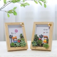 DIY 다육이 식물 액자 만들기 다육 공예 아트