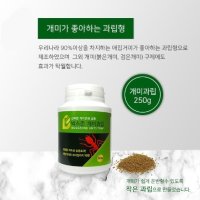 강력 유인 연쇄 살충 벅스존 개미과립250g 4개 1박스