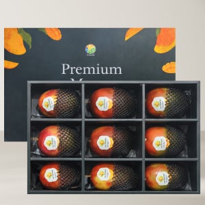 애플 망고 선물세트 생망고