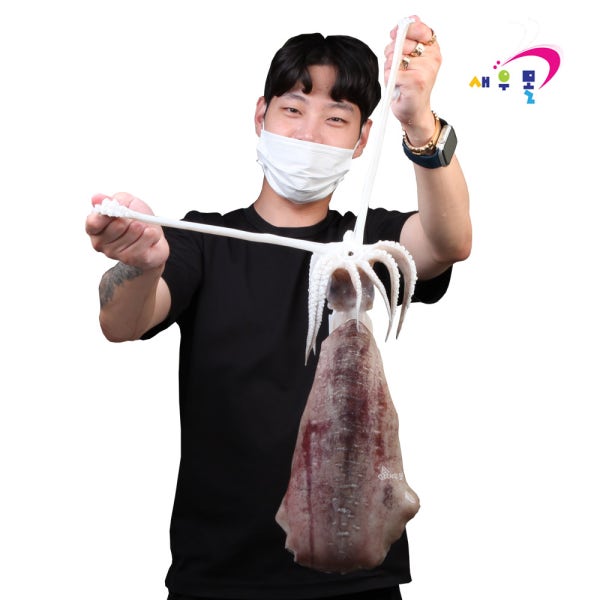 횟감 대왕 무늬오징어 1마리 300g에서 1kg 2kg까지