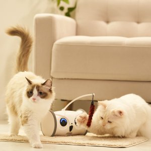 움직이는 고양이 장난감 캣 펫 스마트 CCTV