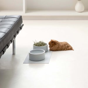 Boo’oh 부오 모고 보울 MOGO Bowl 강아지 고양이 식기