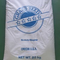 켄터키블루그라스 잔디씨앗 500g