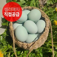 무항생제 청계 청란 유정란 20구/40구