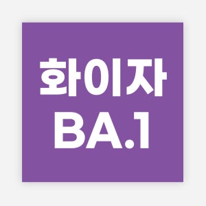 백신 스티커 01화이자BA1 정사각30 500매 모더나 2가 BA1 예방접종