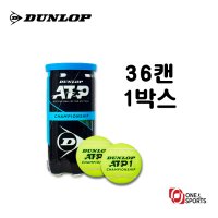 던롭 ATP 챔피언쉽 테니스 볼 공 시합구 36캔 (1박스)