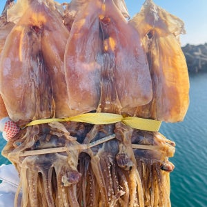 동해안 건조 마른 오징어 1kg (20미)